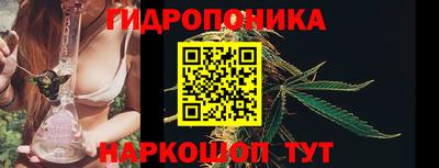 PSILOCYBIN Краснознаменск