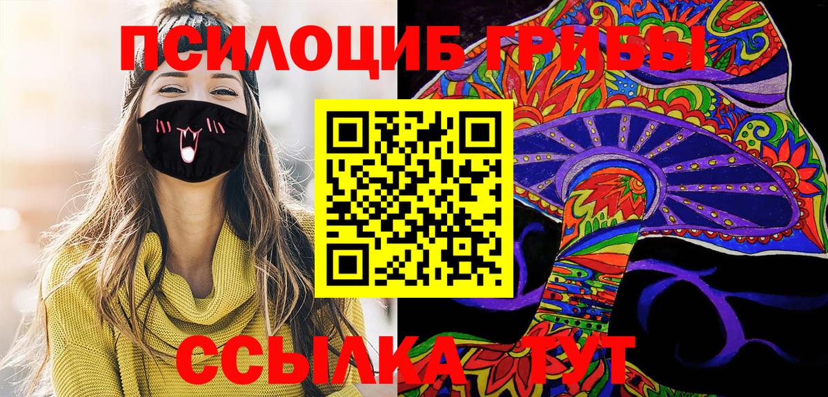 Кинель  Псилоцибиновые грибы Psilocybine cubensis  даркнет сайт  Вход с VPN  Галлюциногенные грибы ЛСД 